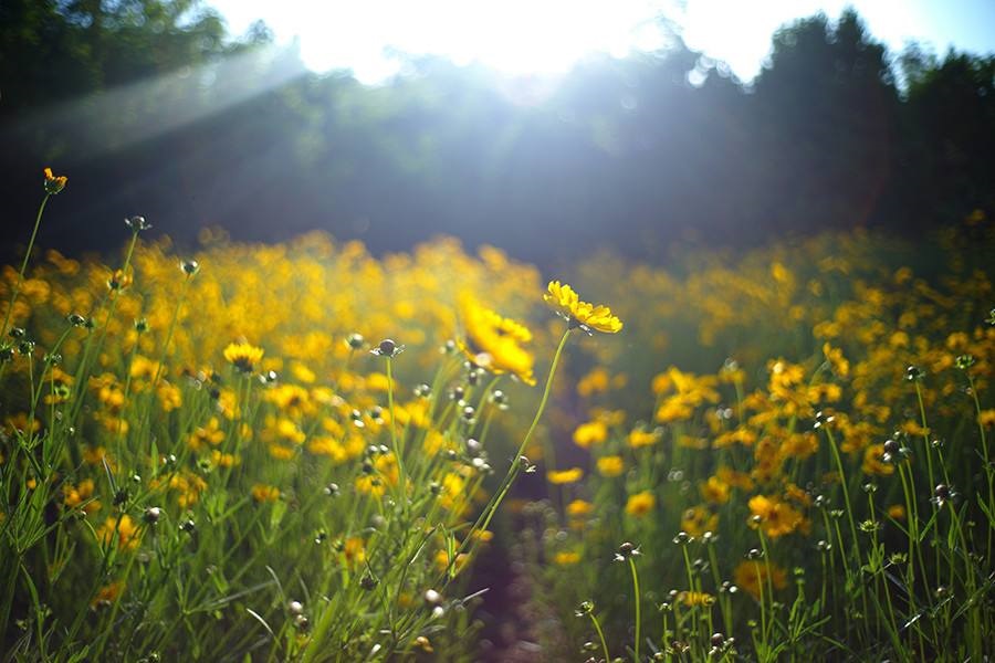 给心灵一缕温暖的阳光