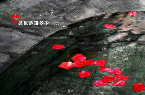 梦里花落知多少